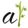 aura wellness