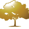 Golden Tree - Day Spa Wien - Fitness & Massage - AURIM