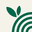 Australian Primary Hemp