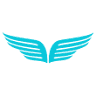 Auto Reflect Detailing