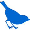 Blue Canary