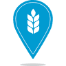D&A Automotive