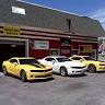 Auto Tint Plus