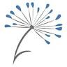 Aux agapanthes