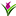 Avante Gardens Florist