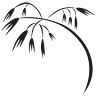 Avena Design