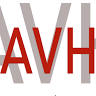 AVH Cars