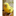 Avian Health Services