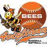 A.S.D. Avigliana Bees