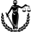 Avocat Grosu Alexandru
