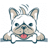 A Waggin’ Good Time Pet Resort