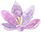 Genital Estetik, Labioplasti, Vajina Daraltma, Antalya