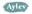 Aylev - Engraving, Gifts, Custom, and More!