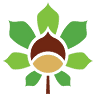 Azienda Agricola Il Castagno