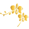 baan boonya thaimassage