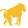 The Baboon Safari Hotel
