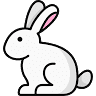 BabyHop