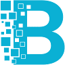 BACHMAIER IT Solutions GmbH & Co. KG