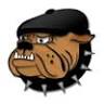 Bad Dog PowerSports