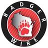 Badger Wire Inc