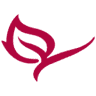 Falkensteinfelsen