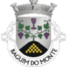 Cemitério de Baguim do Monte