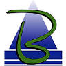 BALDWIN CONTRACTING