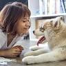 Baltimore Veterinary Clinic: Grubb Christy DVM