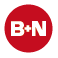 Balzer und Nassauer GmbH & Co. KG