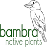 Bambra Native Plants