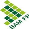 BAM Financial Planning