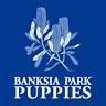 Banksia Park Puppies - Head Office