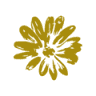 Barnwell Florists