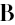 Dr. Joan Bartolotta Optometrist
