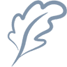 Barton Oaks Dental Group