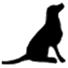 Baseline Animal Hospital, Boarding, & Grooming