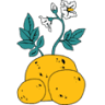 Batopes - Comércio De Produtos Hortícolas, Lda