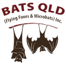 Bats Qld