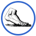 Bay Area Foot and Ankle Associates Walnut Creek CA - Rossmoor