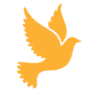 Bay Area Funeral Directors