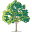 Baylor's Landscapes LLC