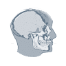 Bay Oral & Facial Surgery
