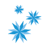 B&B Flocon de Neige