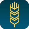 Banner Capital Bank