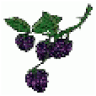 Blackberry Creek Mini Farm