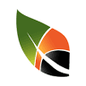BDR Parket Hardwood Flooring Flooring