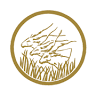 Banque des États de l'Afrique Centrale