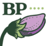 The Beach Pea Kitchen & Bar