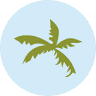 Exclusive Isla Bonita - Beach Time Rentals
