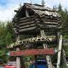 Bear Creek Camp & Cabins